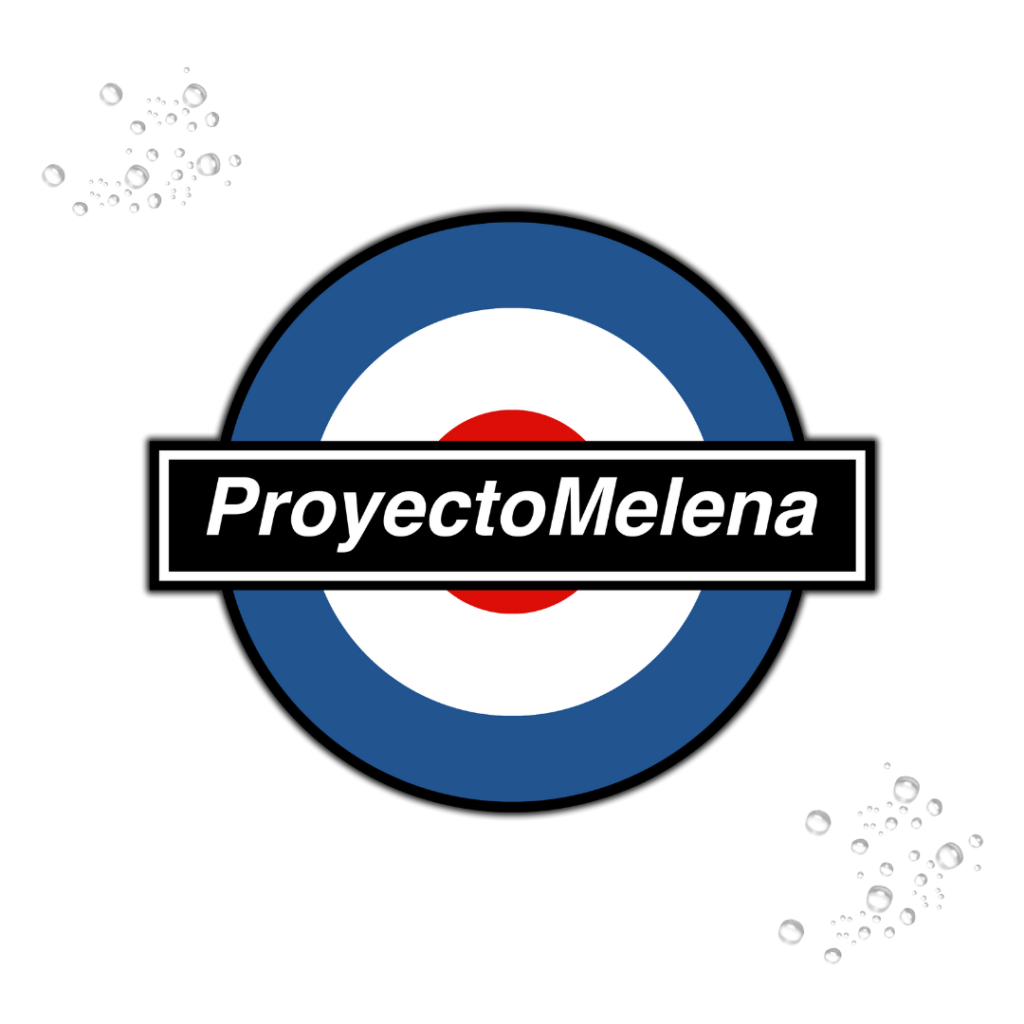 proyecto melena 